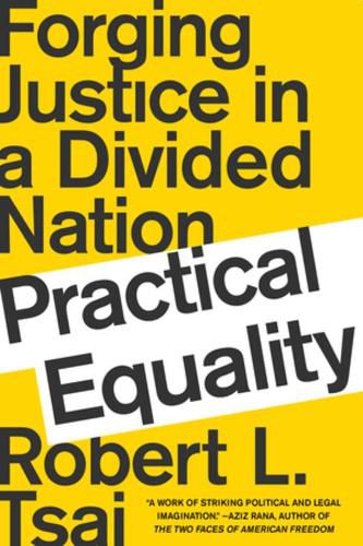 Practical Equality: Forging Justice in a Divided Nation