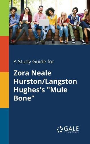 Cover image for A Study Guide for Zora Neale Hurston/Langston Hughes's Mule Bone