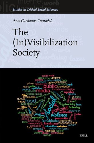 Cover image for The (In)Visibilization Society