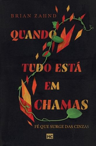 Cover image for Quando tudo esta em chamas: Fe que surge das cinzas