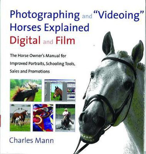 Cover image for Photographing and \"videoing\" Horses Explained
