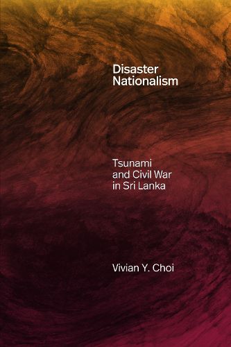 Cover image for Disaster Nationalism