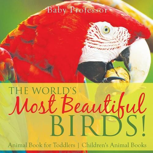 Cover image for The World's Most Beautiful Birds! Animal Book for Toddlers Children's Animal Books