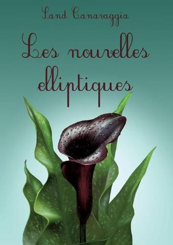 Cover image for Les nouvelles elliptiques