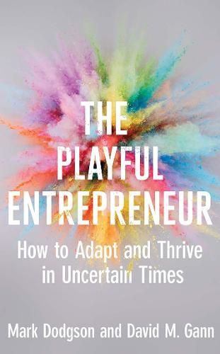 Cover image for The Playful Entrepreneur: How to Adapt and Thrive in Uncertain Times