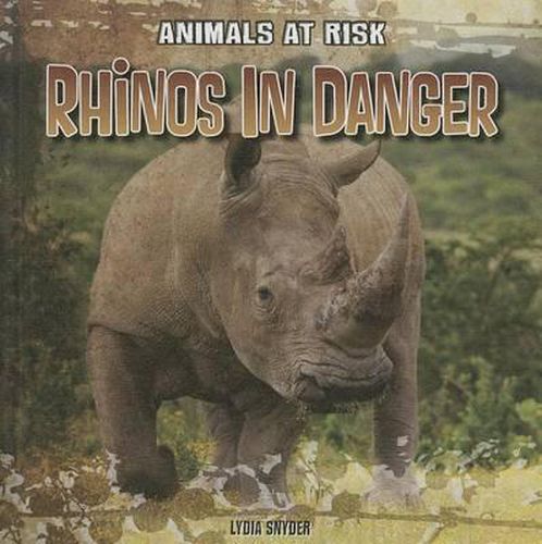 Cover image for Rhinos in Danger