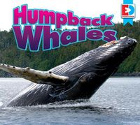 Cover image for Humpback Whales