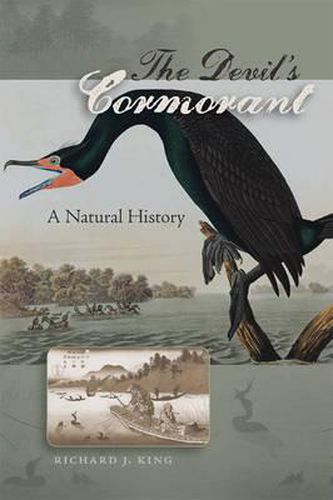 The Devil's Cormorant