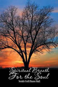 Cover image for Spiritual Breath for the Soul: Stories That Heal the Heart