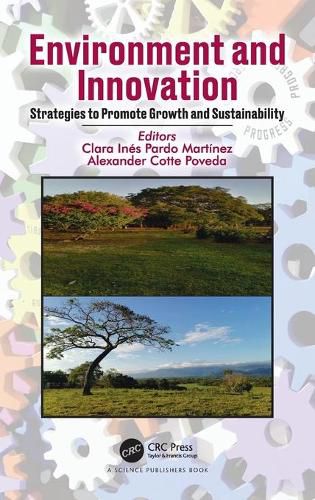 Cover image for Environment and Innovation: Strategies to Promote Growth and Sustainability