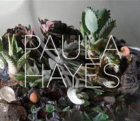Cover image for Paula Hayes