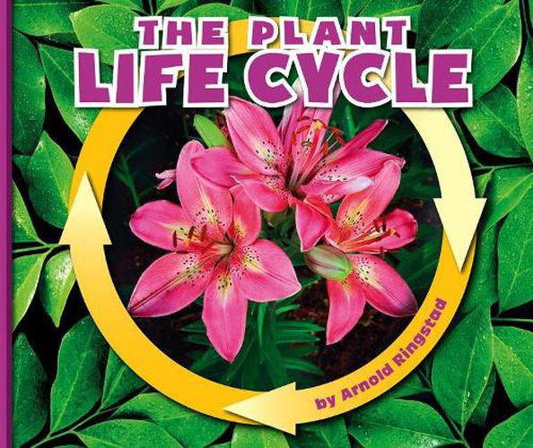 The Plant Life Cycle