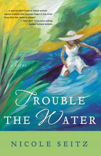 Cover image for Trouble the Water