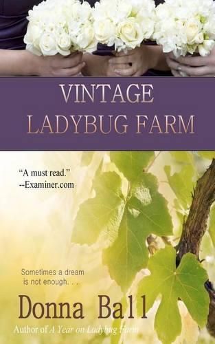 Cover image for Vintage Ladybug Farm