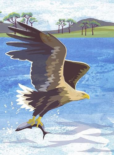 Cover image for Nature Notebook: Sea Eagle