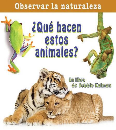 Cover image for Que Hacen Esto Animales?