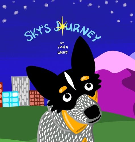 Cover image for Sky's Journey