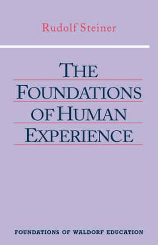 Cover image for The Foundations of Human Experience