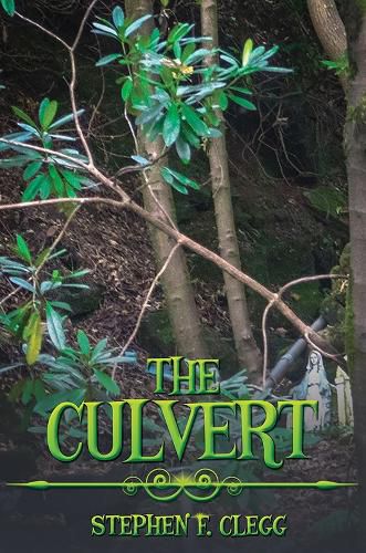 Cover image for The Culvert