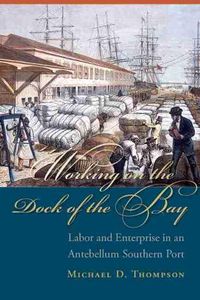 Cover image for Working on the Dock of the Bay: Labor and Enterprise in an Antebellum Southern Port