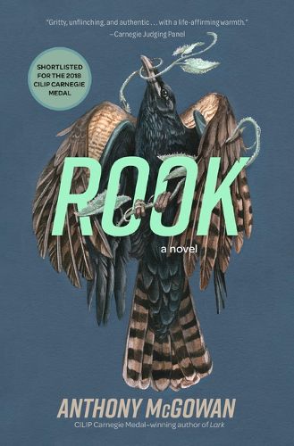 Cover image for Rook