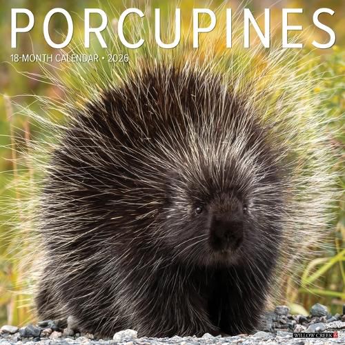 Cover image for Porcupines 12 X 12 Wall Calendar