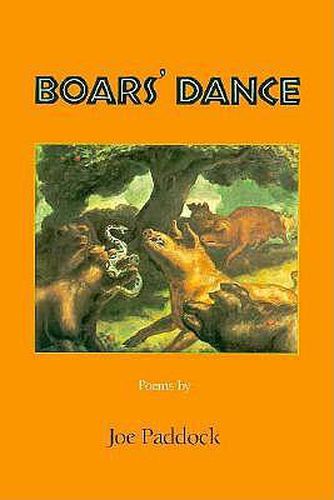 Cover image for Boars' Dance