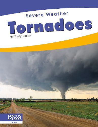 Cover image for Tornadoes