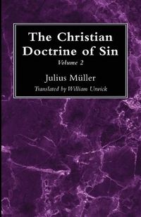 Cover image for The Christian Doctrine of Sin, Volume 2