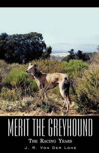 Cover image for Merit the Greyhound