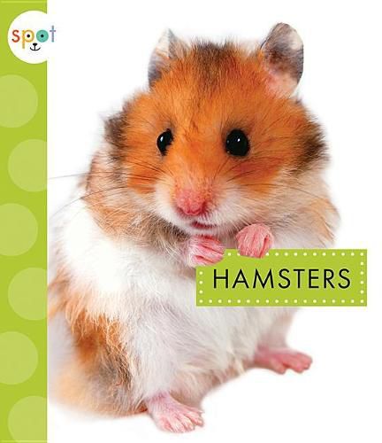 Cover image for Hamsters