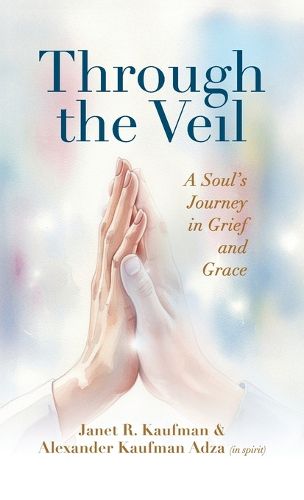 Cover image for Through the Veil