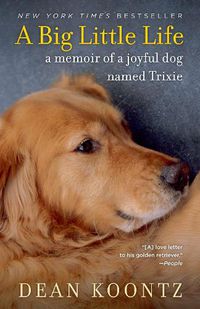 Cover image for A Big Little Life: A Memoir of a Joyful Dog Named Trixie