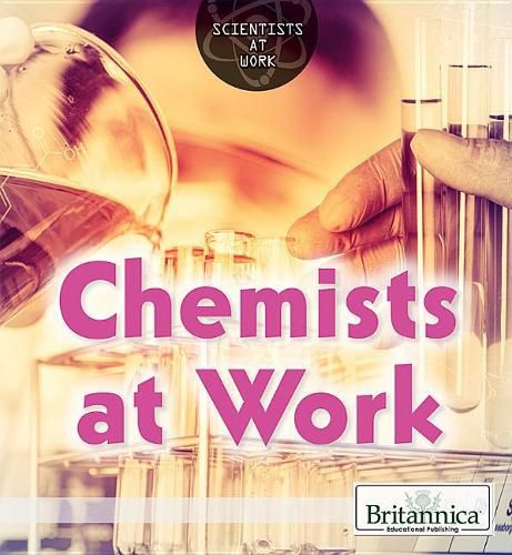 Cover image for Chemists at Work