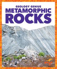 Cover image for Metamorphic Rocks