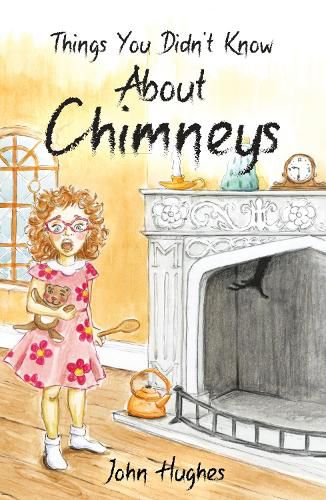 Cover image for Things You Didn't Know About Chimneys