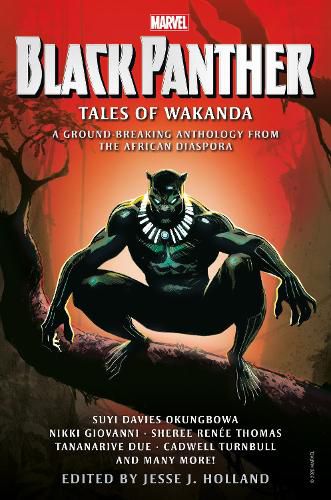Cover image for Black Panther: Tales of Wakanda