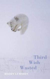 Cover image for Third Wish Wasted