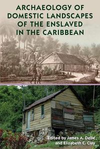 Cover image for Archaeology of Domestic Landscapes of the Enslaved in the Caribbean