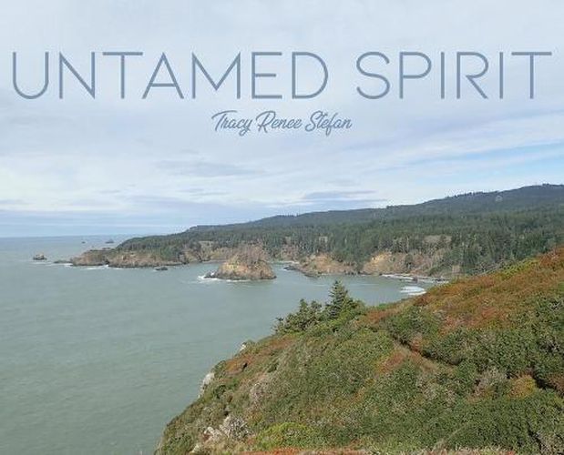 Cover image for Untamed Spirit
