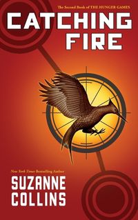 Cover image for Catching Fire