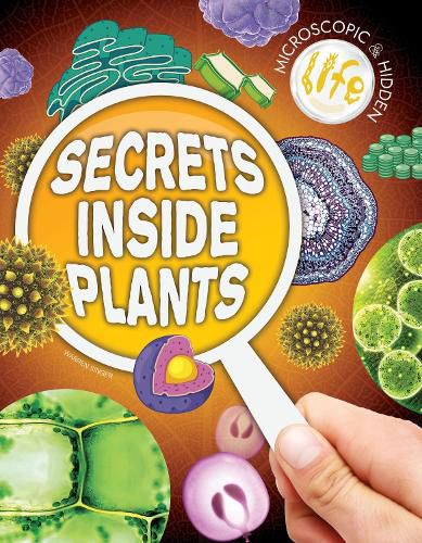 Cover image for Secrets Inside Plants
