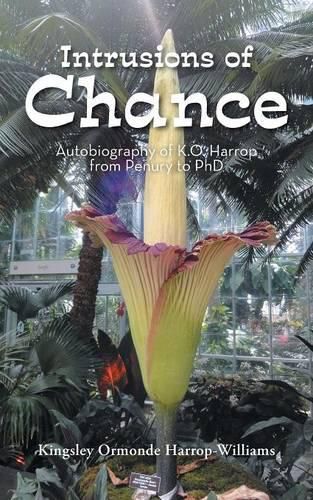 Cover image for Intrusions of Chance