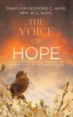 Cover image for The Voice of Hope