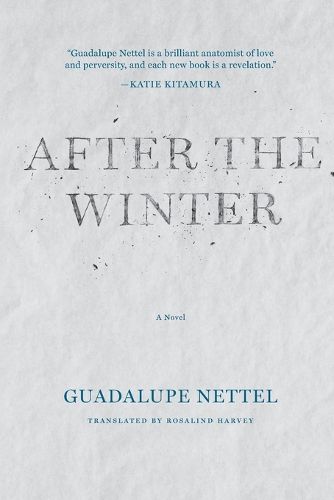 Cover image for After the Winter