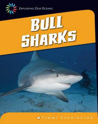 Cover image for Bull Sharks