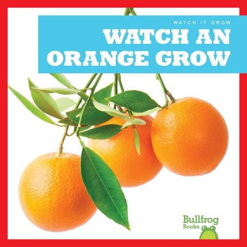 Cover image for Watch an Orange Grow