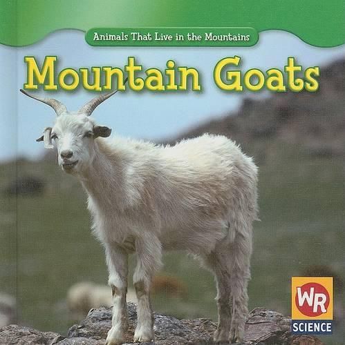 Mountain Goats