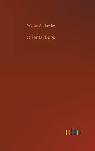 Cover image for Oriental Bugs