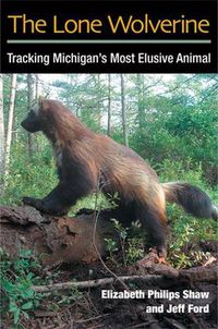 Cover image for The Lone Wolverine: Tracking Michigan's Most Elusive Animal